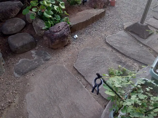 草刈りから防草シート施工まで、お引き受け可能です！お気軽にご相談下さいませ！！サービスの画像