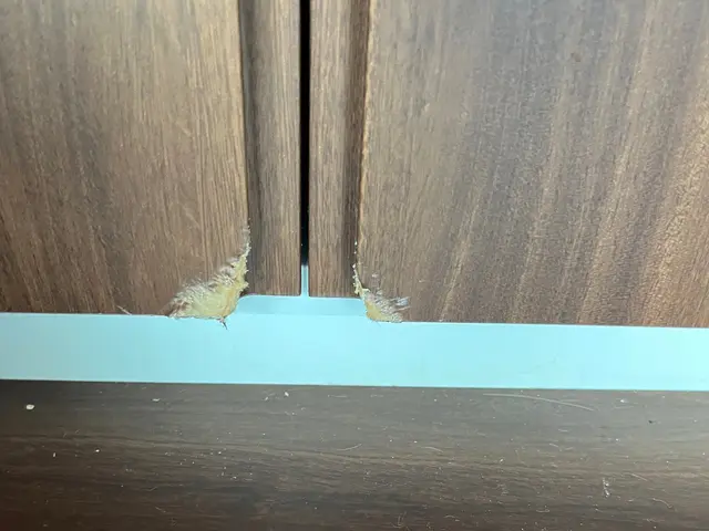 家具、什器、建具の表面補修いたします。持ち帰り無しで対応可。サービスの画像