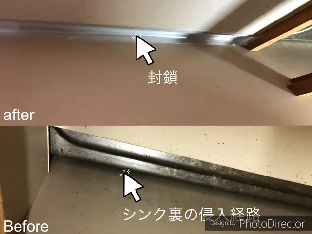 引越し前が効果的★侵入口封鎖、薬剤噴霧込みで追加料金一切無し★YouTube出演サービスの画像