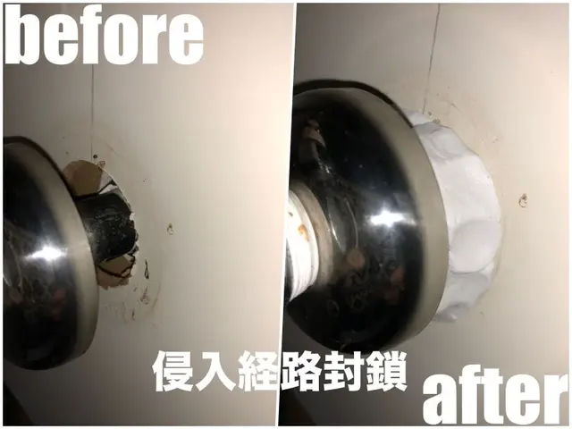 引越し前が効果的★侵入口封鎖、薬剤噴霧込みで追加料金一切無し★YouTube出演サービスの画像