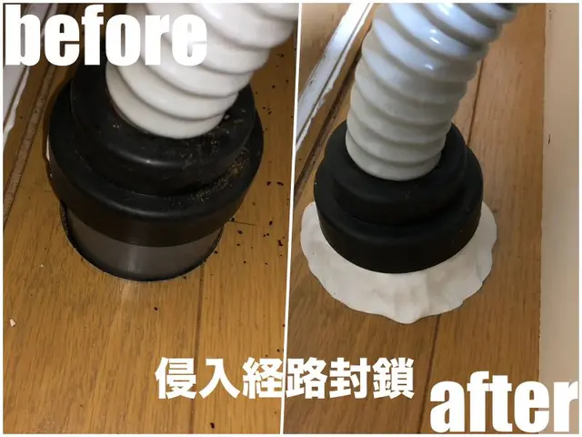 引越し前が効果的★侵入口封鎖、薬剤噴霧込みで追加料金一切無し★YouTube出演サービスの画像