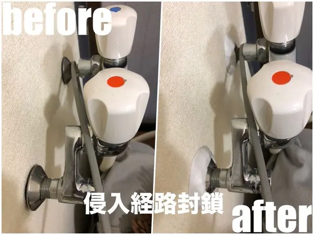 引越し前が効果的★侵入口封鎖、薬剤噴霧込みで追加料金一切無し★YouTube出演サービスの画像