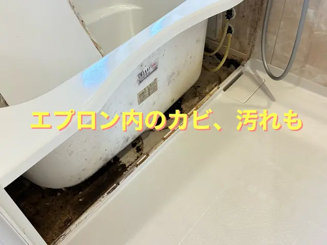 頑固なカビ・水垢・石鹼カスを徹底洗浄！エプロン内の高圧洗浄致します。サービスの画像