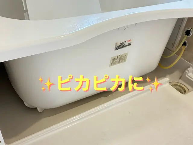 頑固なカビ・水垢・石鹼カスを徹底洗浄！エプロン内の高圧洗浄致します。サービスの画像