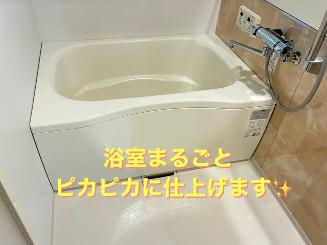 頑固なカビ・水垢・石鹼カスを徹底洗浄！エプロン内の高圧洗浄致します。サービスの画像