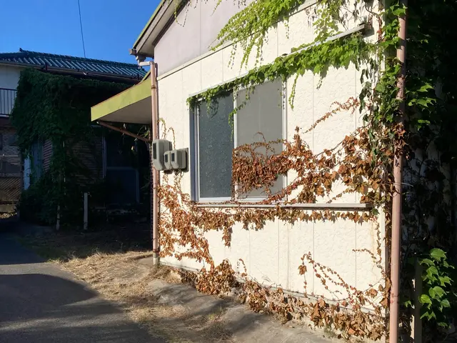 生い茂った蔦の除去はお任せください！サービスの画像