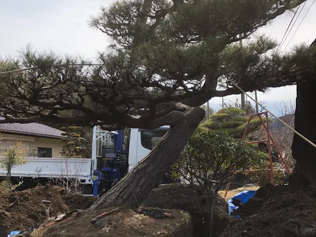 【業歴13年の実績】駐車場代当店負担◎自社の職人が迅速丁寧に仕上げます！サービスの画像