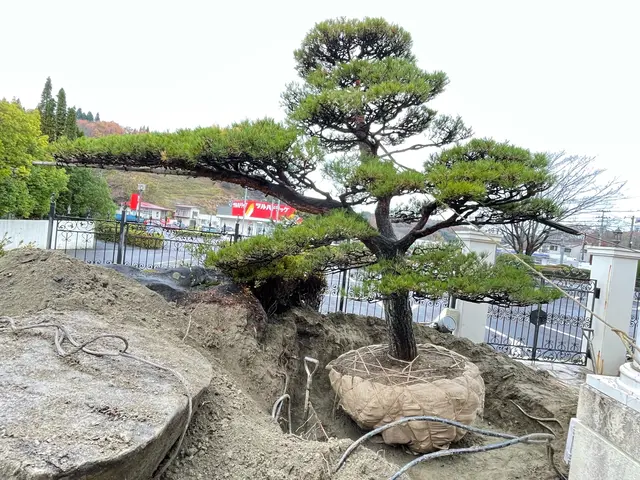 【業歴13年の実績】駐車場代当店負担◎自社の職人が迅速丁寧に仕上げます！サービスの画像