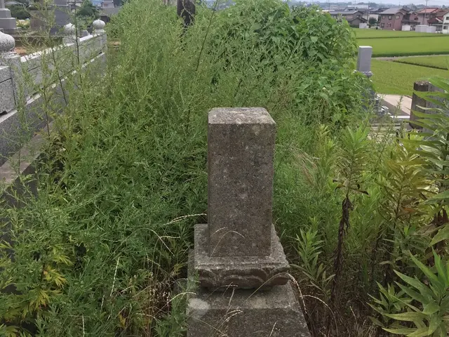 お墓掃除代行（1時間）サービスの画像