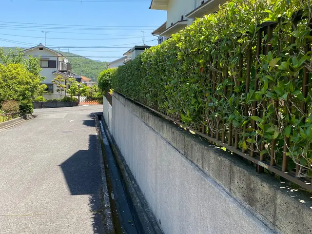 木漏れ日を感じられる様な自然風の剪定！庭に関する相談をお待ちしてきます。サービスの画像