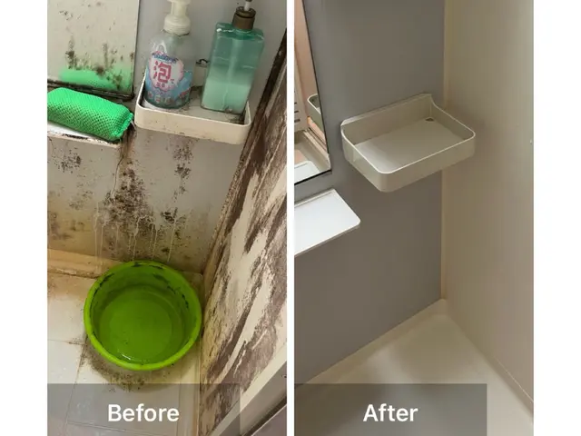 仕上がり重視で丁寧に作業◎作業外注一切なし！損害保険加入済みで安心！サービスの画像