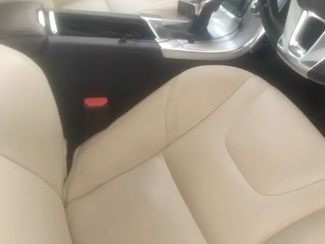 皮シートのクリーニングOK◎クレジット払いOK◎出張して車の内装洗浄を丁寧作業！サービスの画像