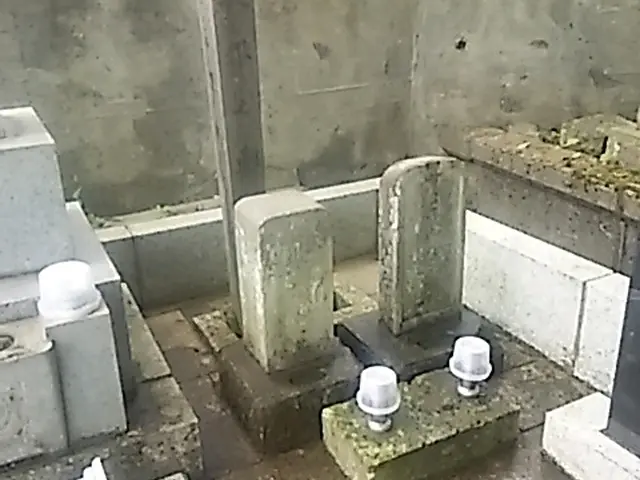 墓石洗浄をそこそこ汚れが落ちる程度に行います。    1基の価格です。サービスの画像