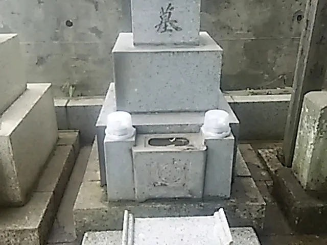 墓石洗浄をそこそこ汚れが落ちる程度に行います。    1基の価格です。サービスの画像