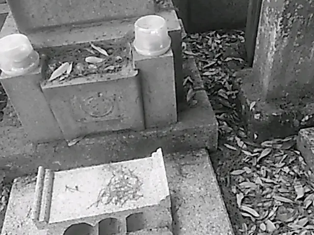 墓石洗浄をそこそこ汚れが落ちる程度に行います。    1基の価格です。サービスの画像