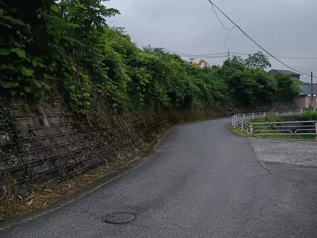 草刈り(機械刈り)サービスの画像