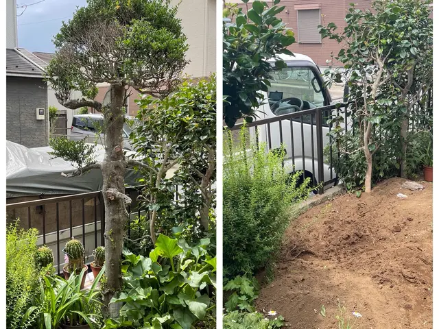 明るいお庭作り♪ お庭の事ならお任せください。まずはお気軽にご相談ください^ ^サービスの画像