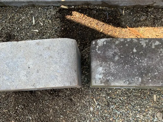 女性スタッフ同行可◎心を込めてお墓の汚れを綺麗にします。サービスの画像