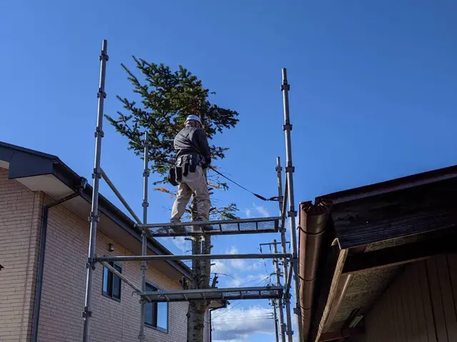 夏秋剪定☆大きくなり過ぎた樹木、日陰な樹木バッサリ！サッパリ解決お任せくださいサービスの画像