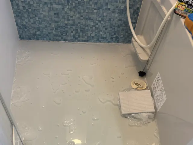 【懇切丁寧】お任せください！水垢、黒カビしっかり落とします！サービスの画像