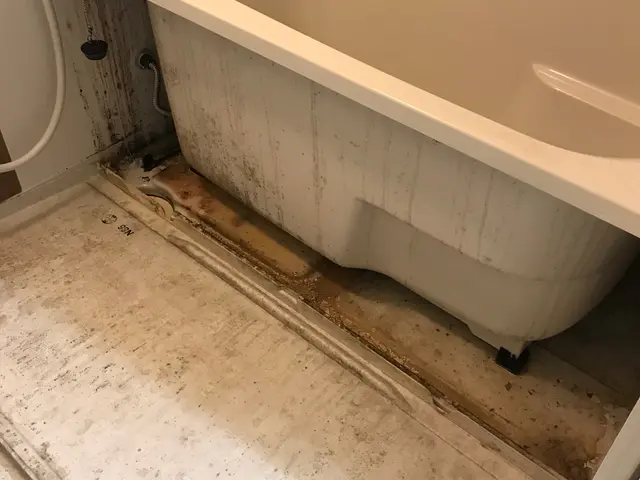 《エプロン内部洗浄、鏡の機械研磨込み》写真の店長が必ずお伺いしshinyします！サービスの画像