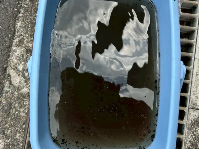 プロの技術でご満足いただけるように心を込めて作業いたしますサービスの画像