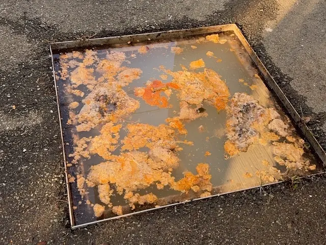 排水管清掃・詰まりの事ならゴールドラッシュ株式会社にお任せ下さい！サービスの画像