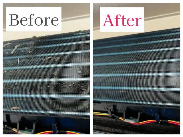 【分解・2度洗いで黒カビ・臭いを徹底除去】複数台割引あり！サービスの画像