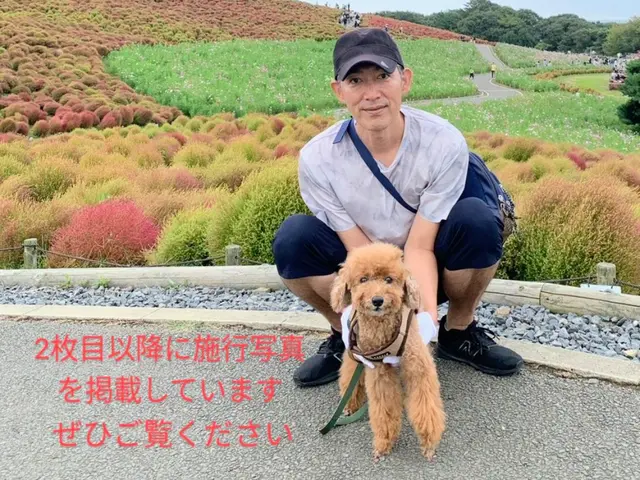 【地域密着　完全自社施工】　電気工事士が伺います！損害保険加入済みで安心ですサービスの画像