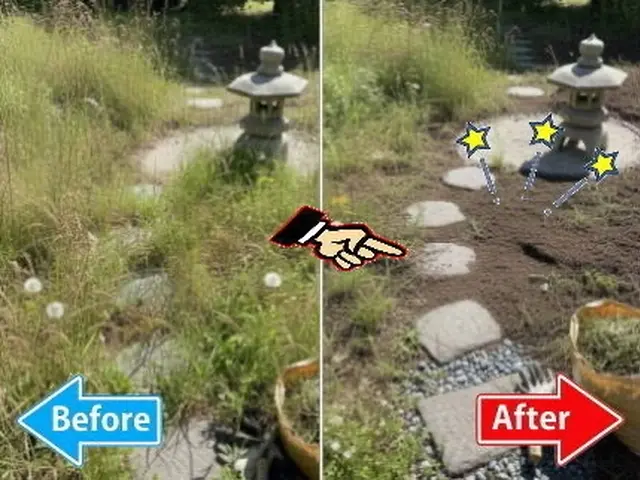 庭・空き地の雑草対策なら【まちの便利屋さん】本気の草むしり◉除草剤散布つきサービスの画像