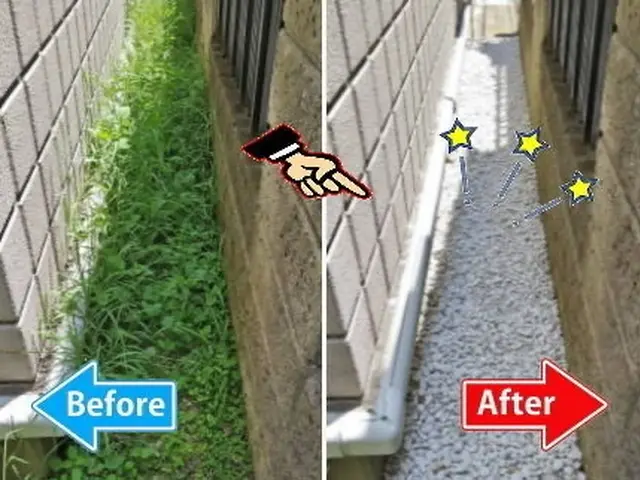 庭・空き地の雑草対策なら【まちの便利屋さん】本気の草むしり◉除草剤散布つきサービスの画像