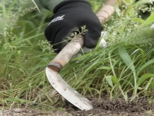 庭・空き地の雑草対策なら【まちの便利屋さん】本気の草むしり◉除草剤散布つきサービスの画像