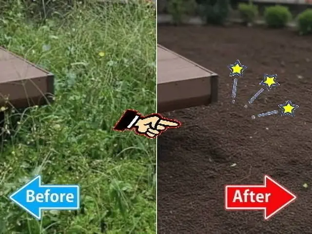 庭・空き地の雑草対策なら【まちの便利屋さん】本気の草むしり◉除草剤散布つきサービスの画像