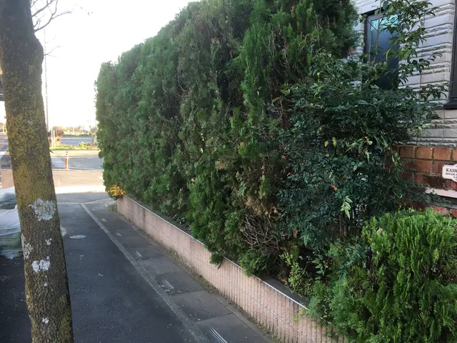 【完全自社対応】作業外注一切ありません★営業時間外でもご相談受付中！サービスの画像