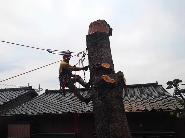 年間100件の実績！レスキュー隊経験者が安全第一で美しく仕上げますサービスの画像