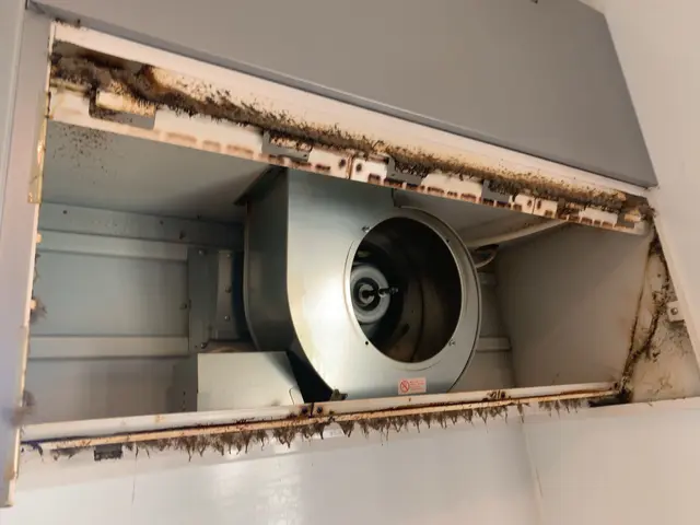 エコ洗剤使用、ウィルス除菌付き、換気扇込みセット23000円^_^サービスの画像