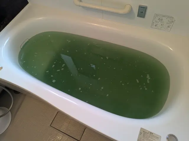 ◉寒い時期◉特大キャンペーン中◉【薬品＋ブラシ】で徹底洗浄✿初めての方も安心！サービスの画像