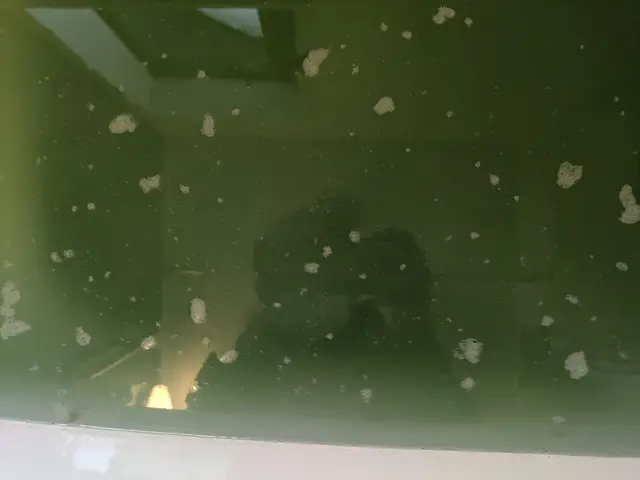 ◉寒い時期◉特大キャンペーン中◉【薬品＋ブラシ】で徹底洗浄✿初めての方も安心！サービスの画像