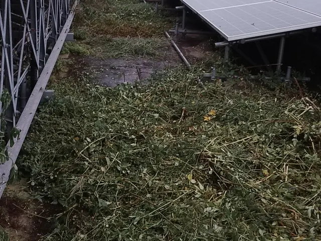 【年中無休】丁寧な仕上がりをお約束します！期間限定の割引価格でご予約受付中！サービスの画像