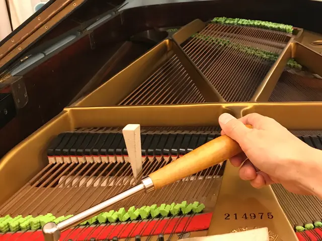 シンガポールで16年ピアノ調律を行い、日本人のピアノをほぼ全て調律していました。サービスの画像