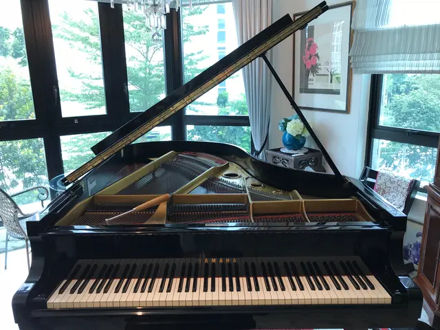 シンガポールで16年ピアノ調律を行い、日本人のピアノをほぼ全て調律していました。サービスの画像