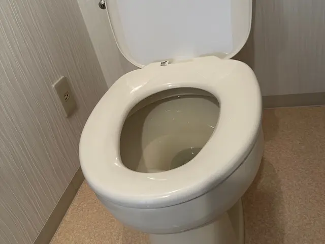 【リピート率上昇中】今年の汚れを来年に持ち越さない！プロの技術をお手頃価格でサービスの画像