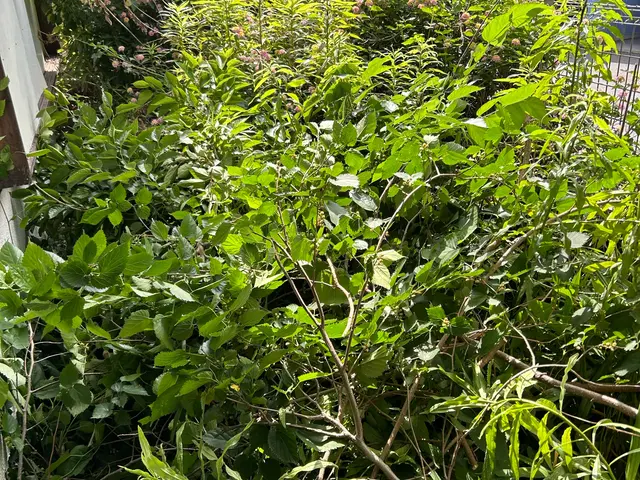 【10年の実績！】丁寧な作業でお客様満足をお約束サービスの画像