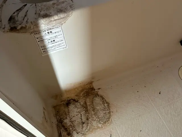 可能な限り落とします。サービスの画像