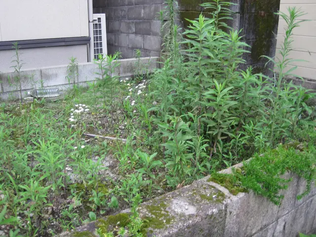 経験豊富なスタッフがお伺いします！女性スタッフ指定も可能◎クレカ利用OK！！サービスの画像