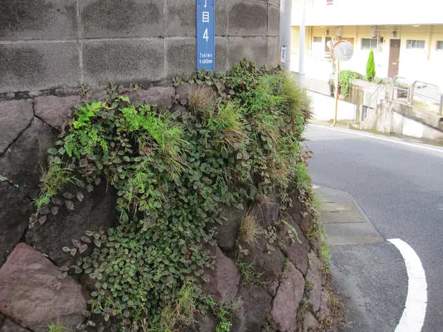 経験豊富なスタッフがお伺いします！女性スタッフ指定も可能◎クレカ利用OK！！サービスの画像