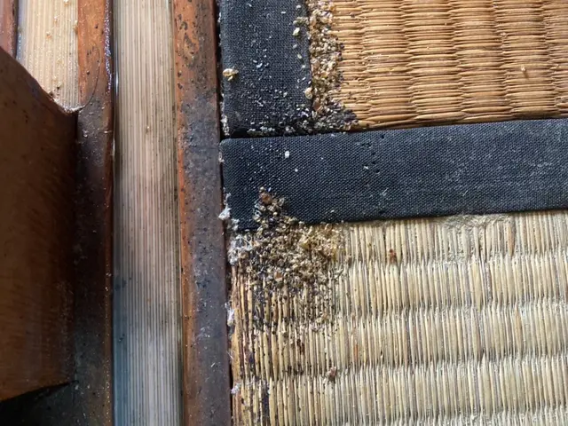 研修を積んだ自社スタッフが丁寧に対応！サービスの画像