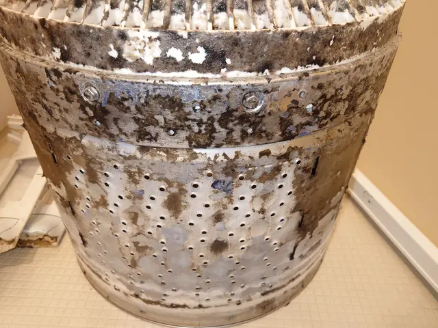 埼玉、新座よりお伺いいたします！洗濯機完全分解してピッカピカに！(^o^)サービスの画像