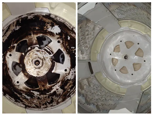 埼玉、新座よりお伺いいたします！洗濯機完全分解してピッカピカに！(^o^)サービスの画像