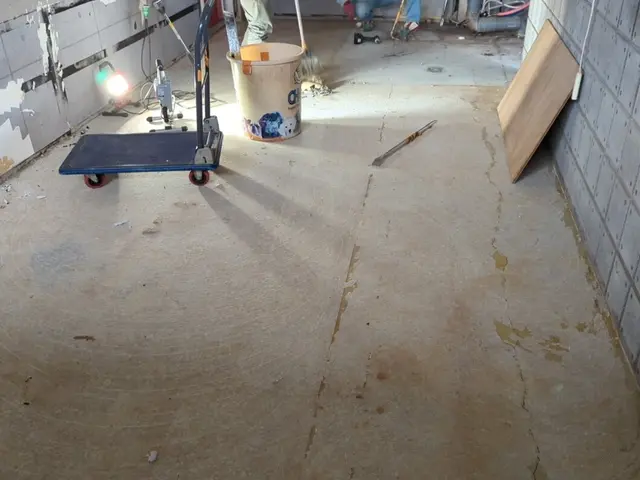 【女性スタッフ在籍】損害保険加入済◉大手での作業経験もあります！サービスの画像